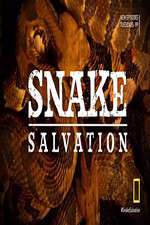 Watch Snake Salvation Vumoo