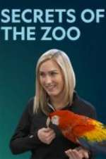 Watch Secrets of the Zoo Vumoo