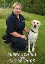 Watch Puppy School for Guide Dogs Vumoo