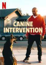 Watch Canine Intervention Vumoo