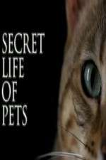Watch The Secret Life of Pets Vumoo