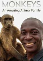 Watch Monkeys: An Amazing Animal Family Vumoo