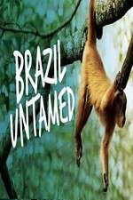 Watch Brazil Untamed Vumoo