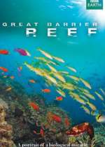 Watch Great Barrier Reef Vumoo