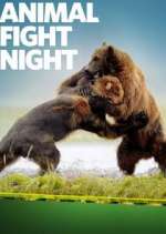 Watch Animal Fight Night Vumoo
