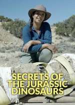 Watch Secrets of the Jurassic Dinosaurs Vumoo
