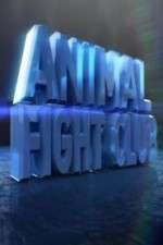 Watch Animal Fight Club  Vumoo