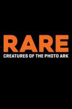 Watch Rare: Creatures of the Photo Ark Vumoo