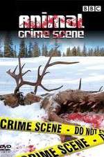 Watch Animal Crime Scene Vumoo
