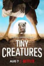 Watch Tiny Creatures Vumoo