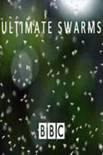 Watch Ultimate Swarms Vumoo
