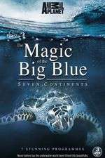 Watch The Magic of the Big Blue Vumoo