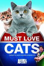 Watch Must Love Cats Vumoo