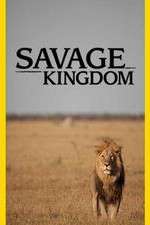 Watch Savage Kingdom Vumoo