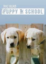 Watch Dog Squad: Puppy School Vumoo