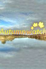 Watch Autumnwatch Vumoo