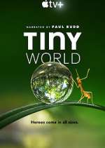 Watch Tiny World Vumoo