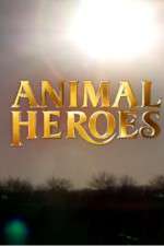 Watch Animal Heroes Vumoo
