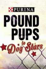 Watch Purina Pound Pups To Dog Stars Vumoo