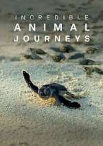 Watch Incredible Animal Journeys Vumoo
