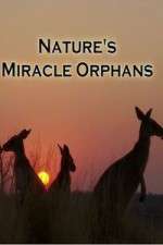 Watch Nature's Miracle Orphans Vumoo