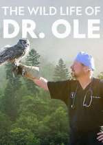 Watch The Wild Life of Dr. Ole Vumoo
