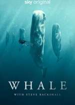 Watch Whale with Steve Backshall Vumoo
