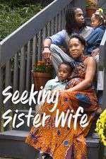Watch Seeking Sister Wife Vumoo