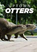 Watch Uptown Otters Vumoo