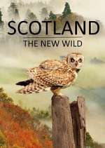Watch Scotland - The New Wild Vumoo