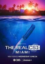 Watch The Real CSI: Miami Vumoo