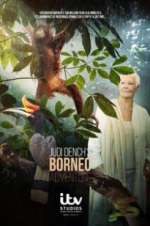 Watch Judi Dench\'s Wild Borneo Adventure Vumoo