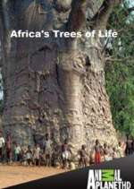 Watch Africa's Trees of Life Vumoo