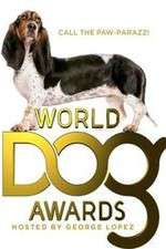 Watch The World Dog Awards Vumoo