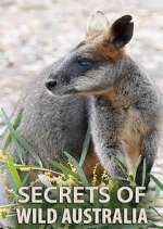 Watch Secrets of Wild Australia Vumoo