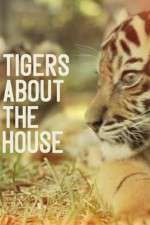 Watch Tigers About the House Vumoo