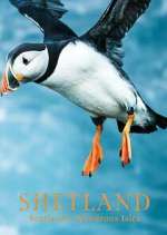Watch Shetland: Scotland's Wondrous Isles Vumoo