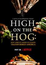 Watch High on the Hog: How African American Cuisine Transformed America Vumoo