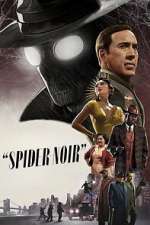 Spider-Noir vumoo