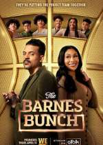 Watch The Barnes Bunch Vumoo