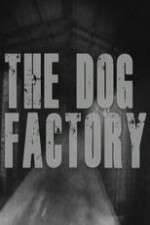 Watch The Dog Factory Vumoo