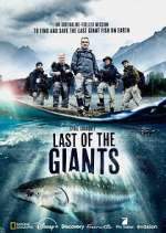 Watch Last of the Giants: Wild Fish Vumoo