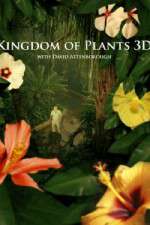 Watch Kingdom of Plants 3D Vumoo