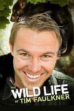 Watch The Wild Life of Tim Faulkner Vumoo
