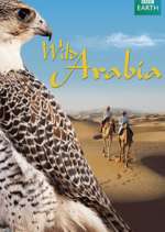 Watch Wild Arabia Vumoo