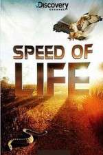 Watch Discovery Channel Speed Of Life Vumoo