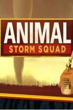 Watch Animal Storm Squad Vumoo