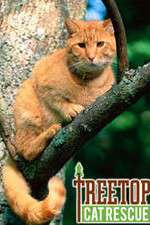 Watch Treetop Cat Rescue Vumoo