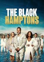 Watch Carl Weber's The Black Hamptons Vumoo