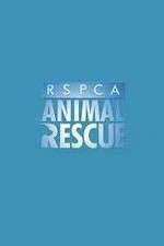 Watch RSPCA Animal Rescue Vumoo